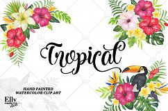 Watercolor Tropical Floral Clip Art Product Image 2