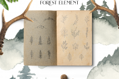 CONIFEROUS FOREST Product Image 3