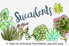 Watercolor Succulents and Cacti Illustrations Product Image 1