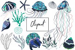 Jelly Fish Clipart and Pattern Collection - JellyFish Product Image 3