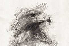 Pencil Sketch Art Photoshop Action Product Image 8