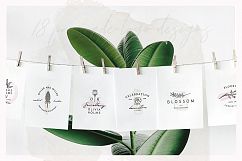 So Flowery Branding Kit + Watercolours Product Image 2