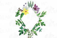 Herbs and Spices frames watercolor clip art pack, watercolor herb leaves borders. PNG, jpg, svg, vector illustrator &amp; corel files included Product Image 10