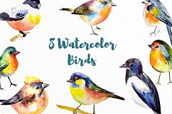 Watercolor Birds Product Image 2