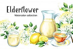 Elderflower. Watercolor collection Product Image 1
