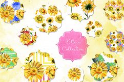 Wildflower yellow chamomile PNG watercolor set Product Image 5