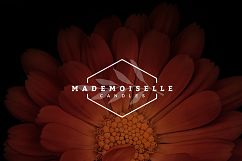 Stilysh logos template - blossom Product Image 2