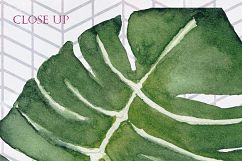 8 Large Watercolor Tropical Leaves Product Image 2