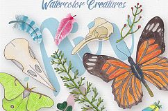Watercolor Creatures vol. 2 Product Image 3