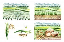 Rice. Watercolor collection Product Image 5