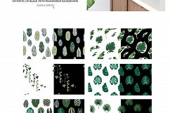 TROPICANA: tropical leaves &amp; patterns collection Product Image 4