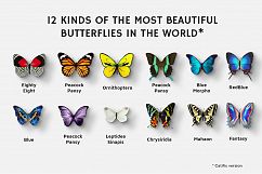 112 Butterfly Photo Overlays 2.0 Product Image 2
