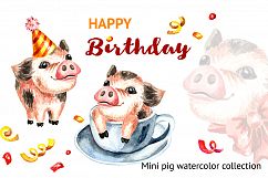 Mini Pig. Happy Birthday collection Product Image 1