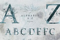 Collection Night Product Image 6