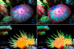 Barrier Reef Lr Presets Product Image 6