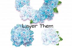 Blue Hydrangeas Product Image 2