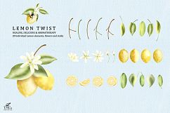 Lemon Twist Graphic Illustrations and patterns Product Image 3