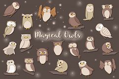 Magical Owls Product Image 1