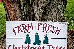 Farm Fresh Christmas Trees Product Image 2