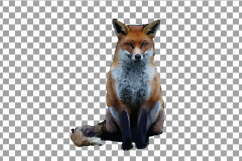 Red Fox Watercolor clip art, woodland watercolor fox, png Product Image 6