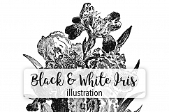 Florals - Vintage Black and White Iris Product Image 1