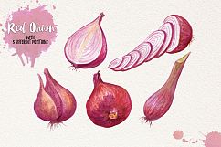 Watercolor Vegetables, Herbs Product Image 11