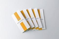 Multiuse Business Trifold Brochure Template Product Image 3