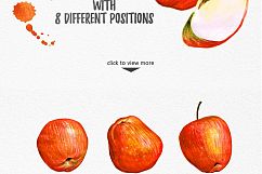 Watercolor Fruits  Product Image 3