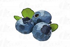 Watercolor blueberry, branch and leaves vector clip art pack Product Image 6