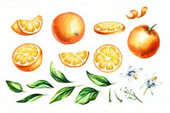 Natural Orange juice. Watercolor Product Image 2