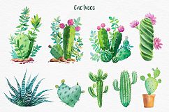 Cactus. Watercolor illustrations. Product Image 5