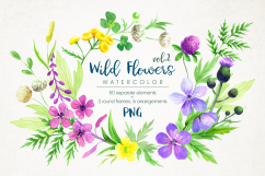 Wild flowers 2. Watercolor set. Product Image 1