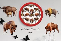 Exotic bison wild animal PNG watercolor set Product Image 3
