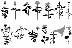Flower Product Image 1