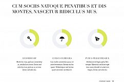 Publisher PowerPoint Template Product Image 18