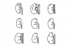 Kidney organ icons set, outline style Product Image 1