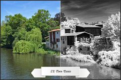Infrared Monochrome Master Profiles LR7.3 ACR10.3 Product Image 5