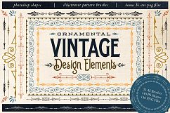 Ornamental Vintage Design Elements Product Image 1