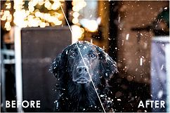 Snow Effect Overlays Product Image 4