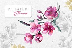 Bouquet of pink flower PNG watercolor pack Product Image 9
