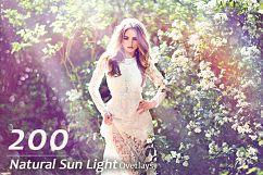 1800 Wedding Effects Bundle Product Image 2