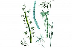 Exotic bamboo PNG watercolor set Product Image 1