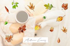 Autumn Leaves Product Image 6