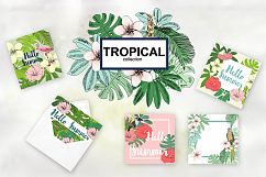 Tropical collection. Product Image 5