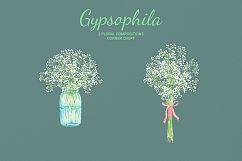 Hand painted watercolor clipart white baby&#039;s breath, gypsophila Product Image 7