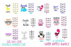 Water bottle svg bundle, Water bottle tracker svg Product Image 1