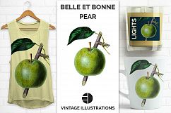 Fruit - Vintage Belle et Bonne Pear Product Image 1