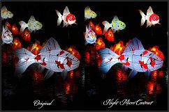 Night and Low Light LUTs Product Image 10