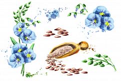 FLAX bundle. Hand painted watercolor Product Image 2