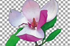 Watercolor Pink Magnolia flower and leaf clip art pack, magnolias clip art. PNG, jpg, svg, vector illustrator &amp; corel files included Product Image 8